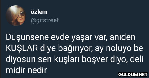 özlem @gitstreet Düşünsene...