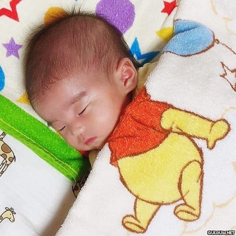 anlamsız fotoğraflar 23732...