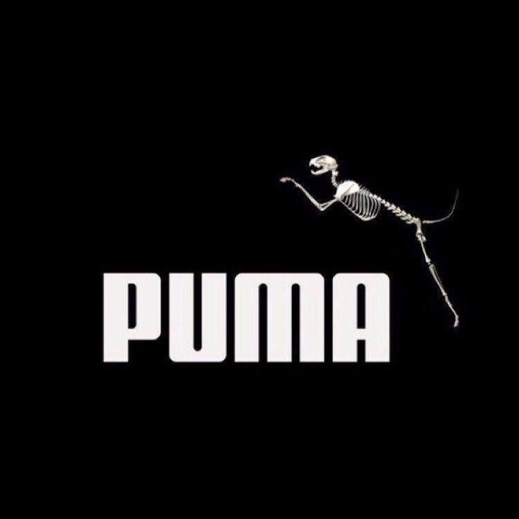 Puma'nın nesli tükenmekte...