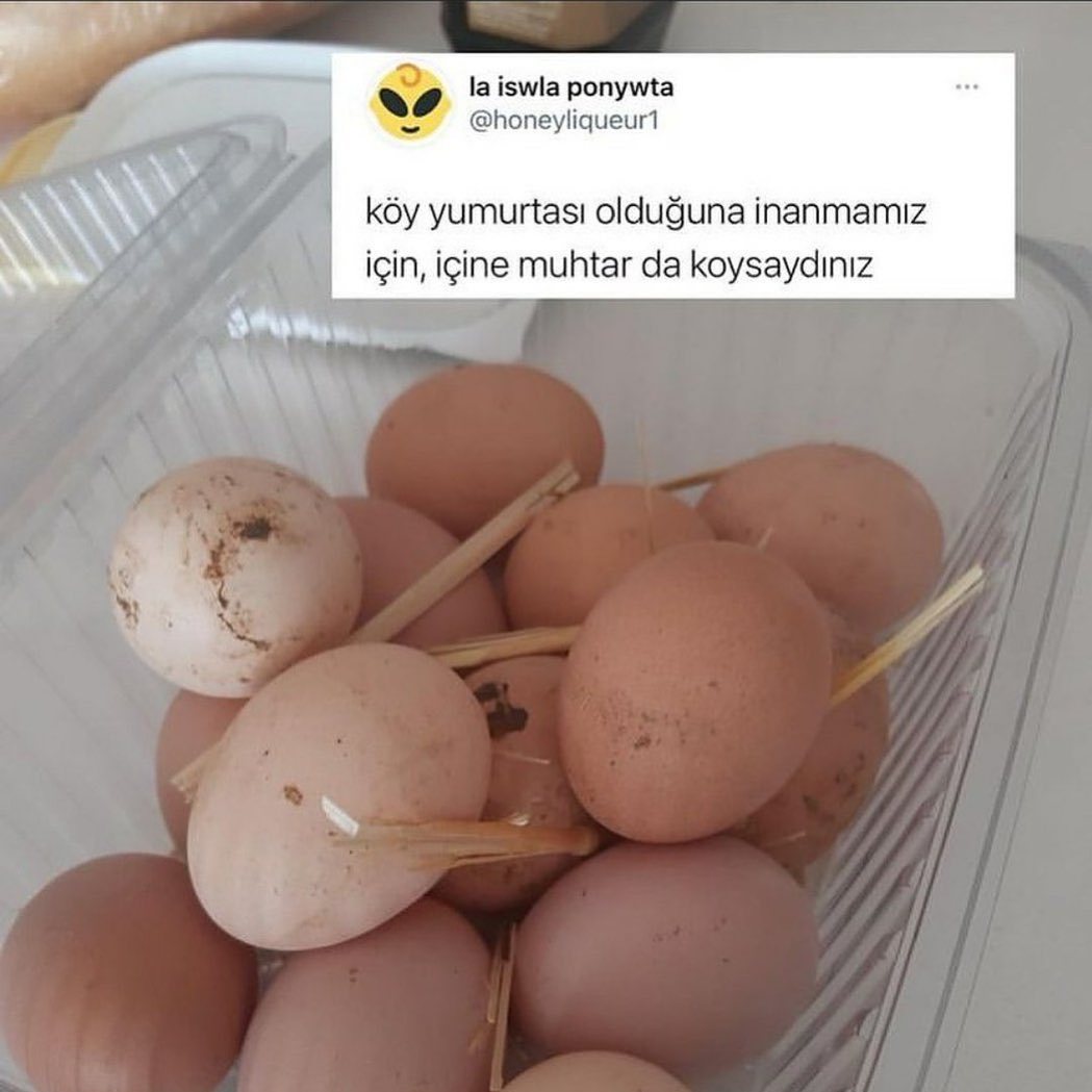 Ben ikna oldum köy...
