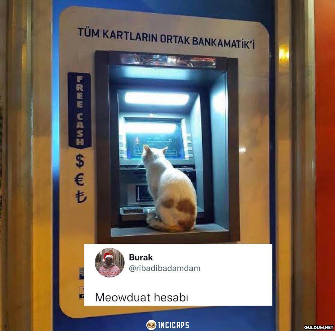 TÜM KARTLARIN ORTAK...