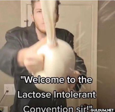 Welcome to the Lactose...