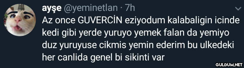 ayşe @yeminetlan · 7h Az...