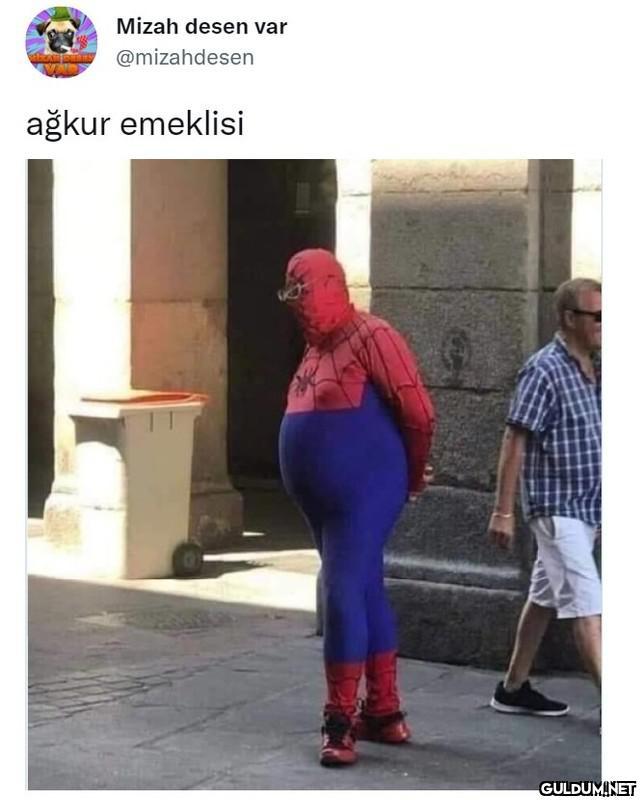 Mizah desen var...