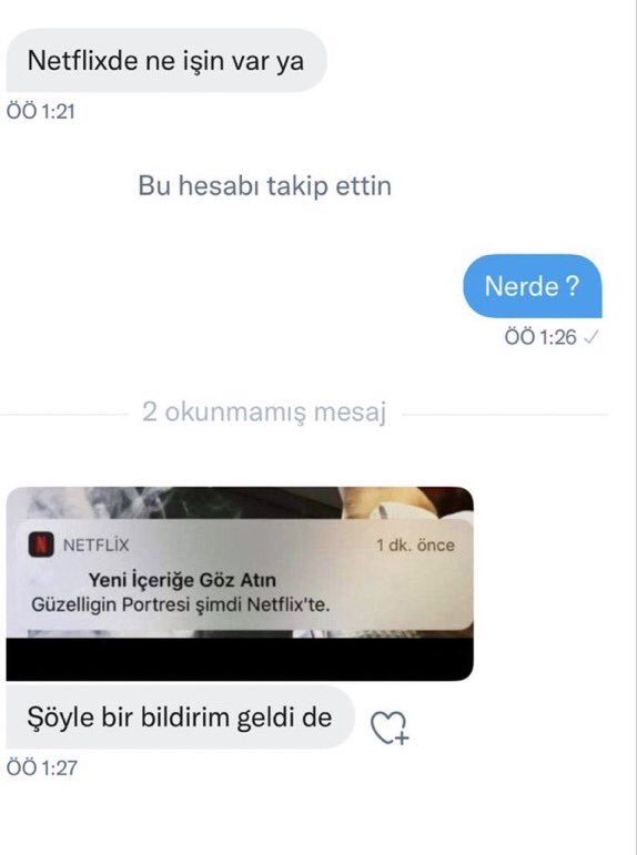 Netflixde ne işin var ya...