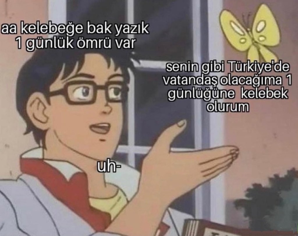 aa kelebeğe bak yazık 1...