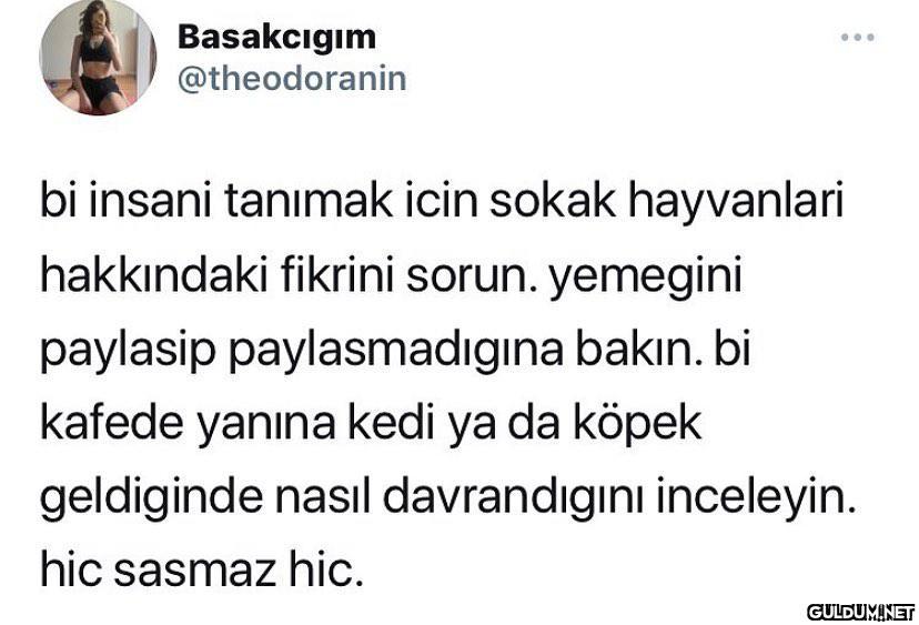 Basakcıgım @theodoranin bi...