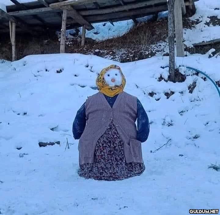 anlamsız fotoğraflar 2263  Kaynak