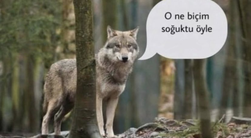 Mizah anlayışım    O ne...