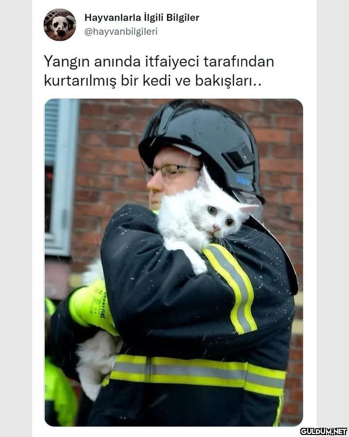 Hayvanlarla İlgili...