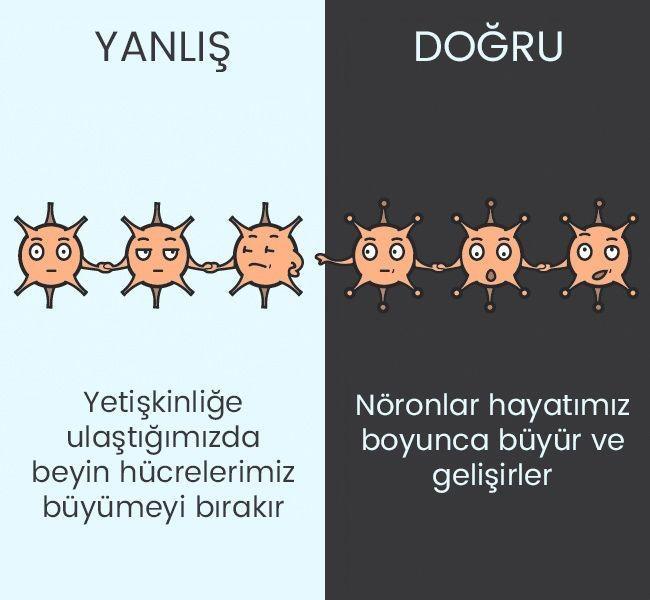 Kaynak