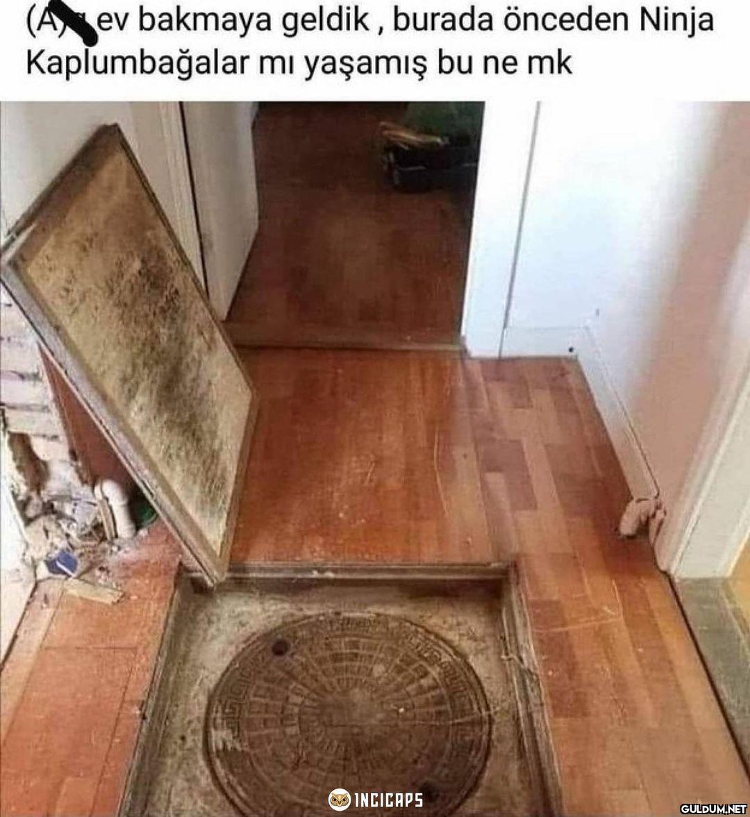 (A ev bakmaya geldik ,...