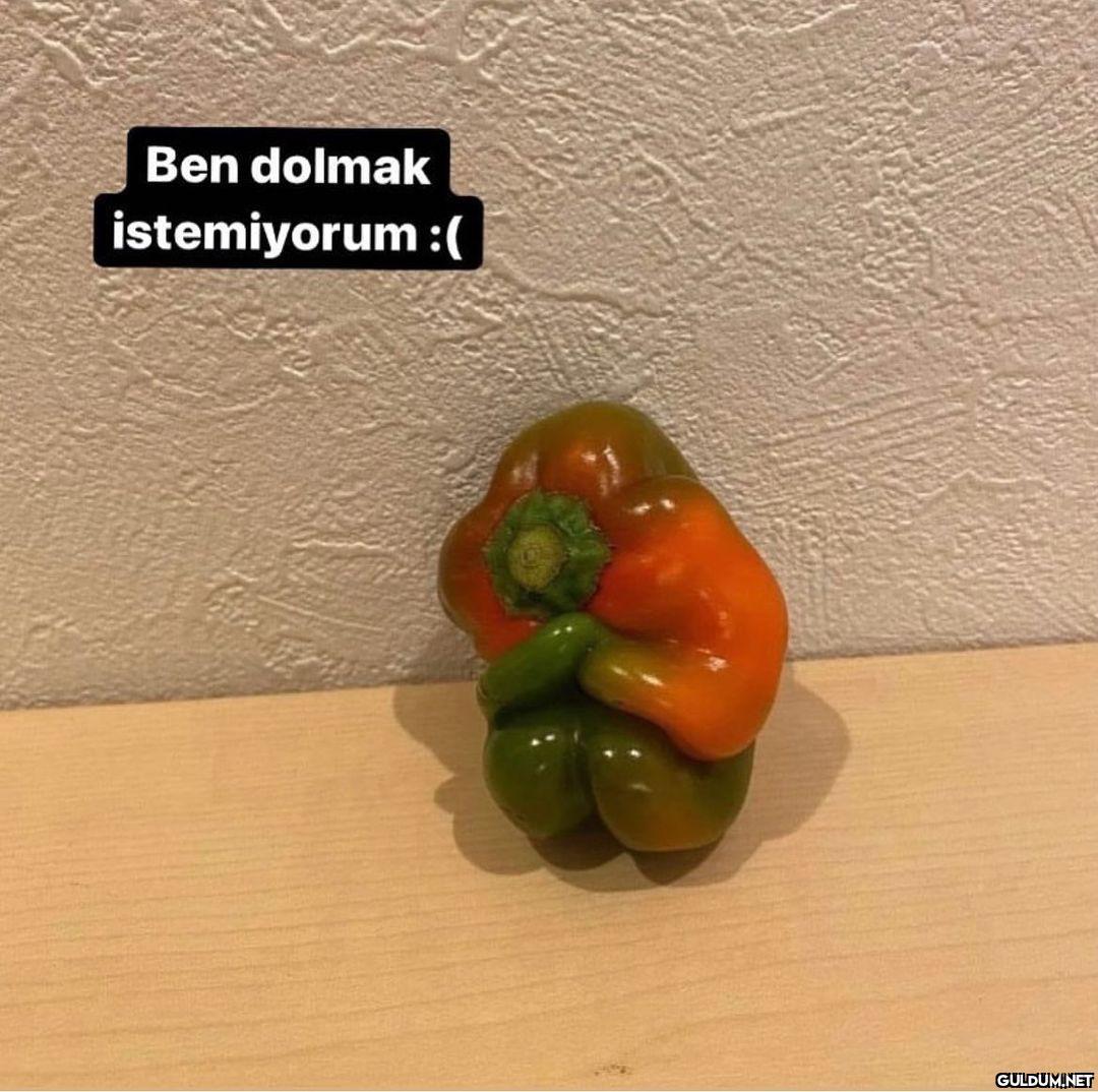 dolmak istemeyen dolmalık...