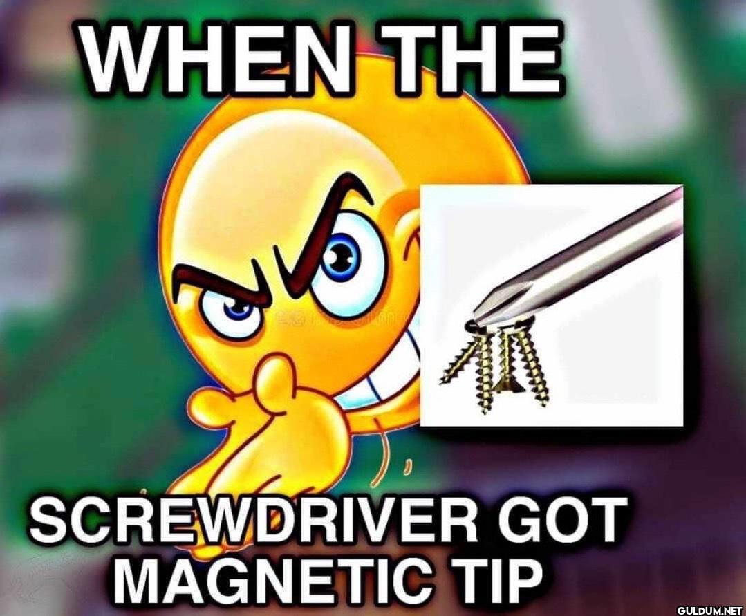 WHEN THE SCREWDRIVER GOT...