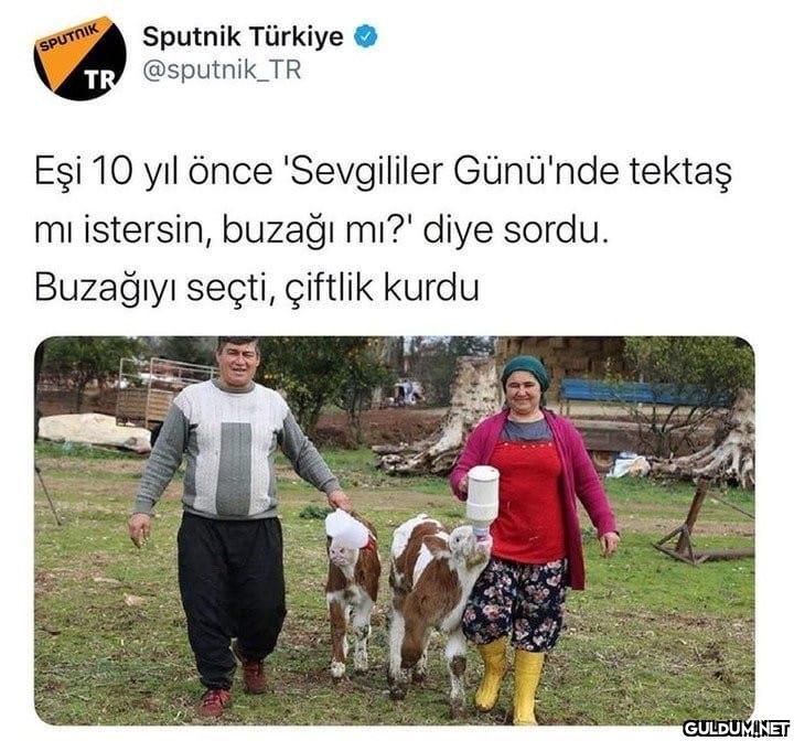 Mantık evliliği nedir? ...