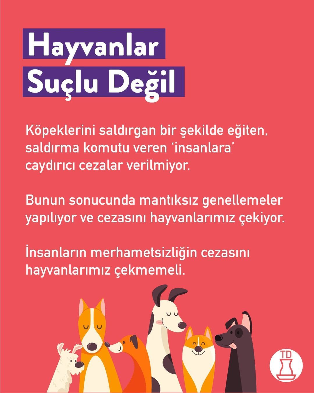 Sokak hayvanları sahipsiz...