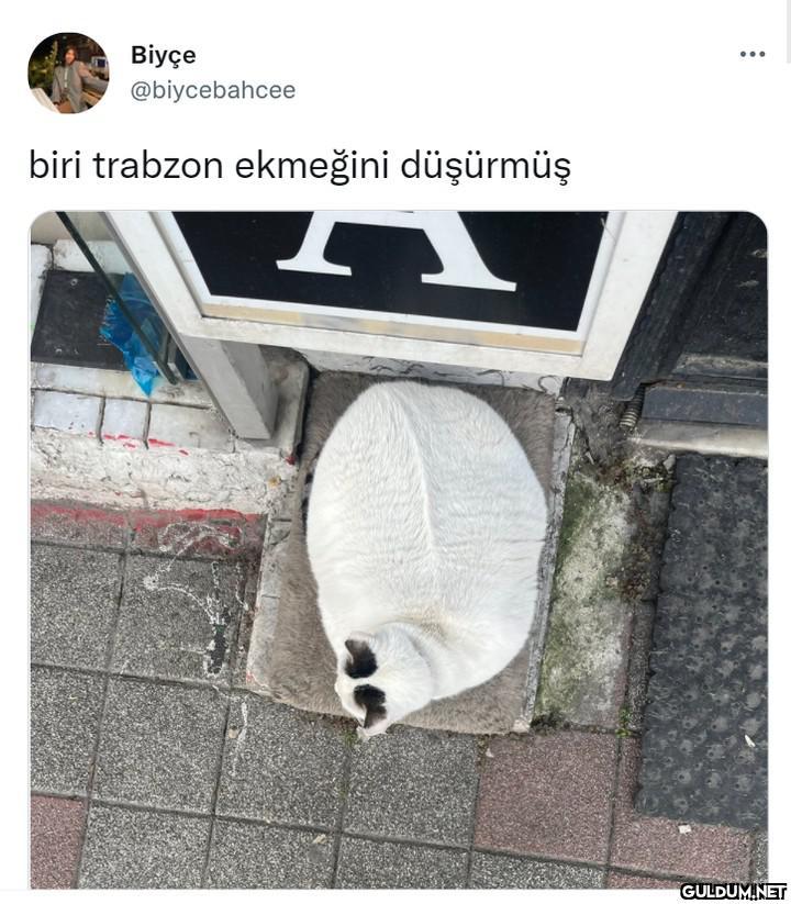 Biyçe @biycebahcee biri...