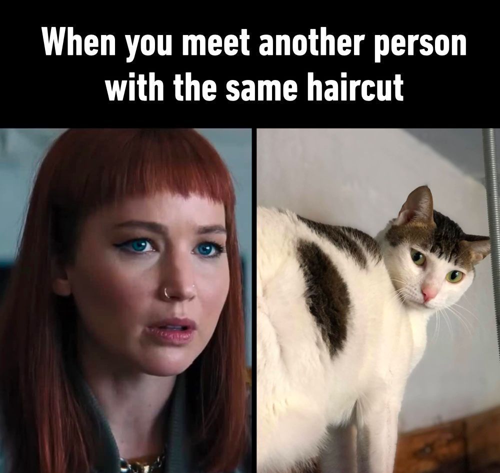 Same same but different⠀ 🐱...