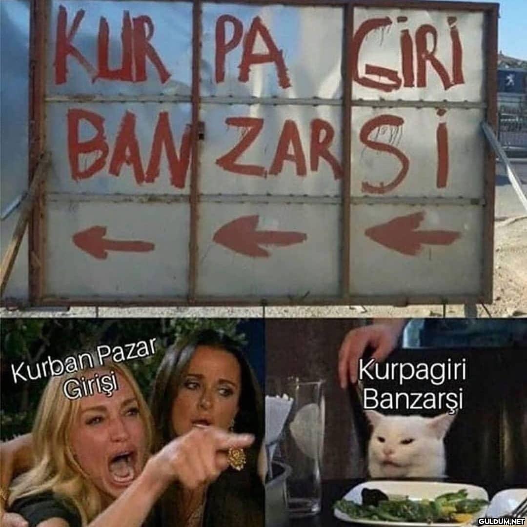 KUR PA SİRİ BAMZARS I...