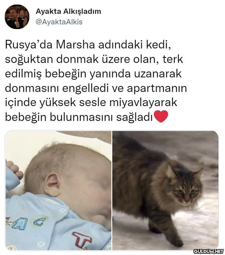 Ayakta Alkışladım...