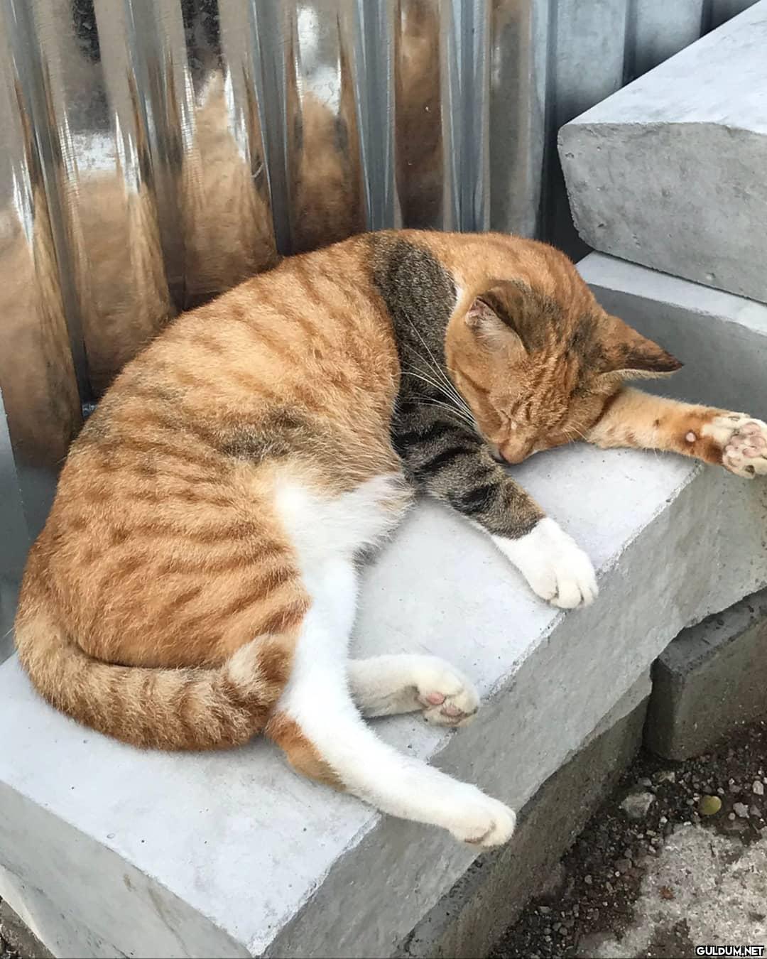 Tek parça değişen harici...