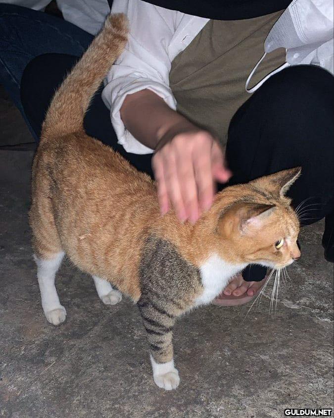 Tek parça değişen harici...