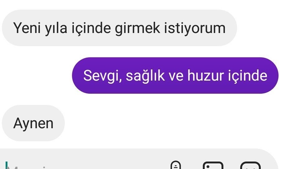 Yeni yıla içinde girmek...
