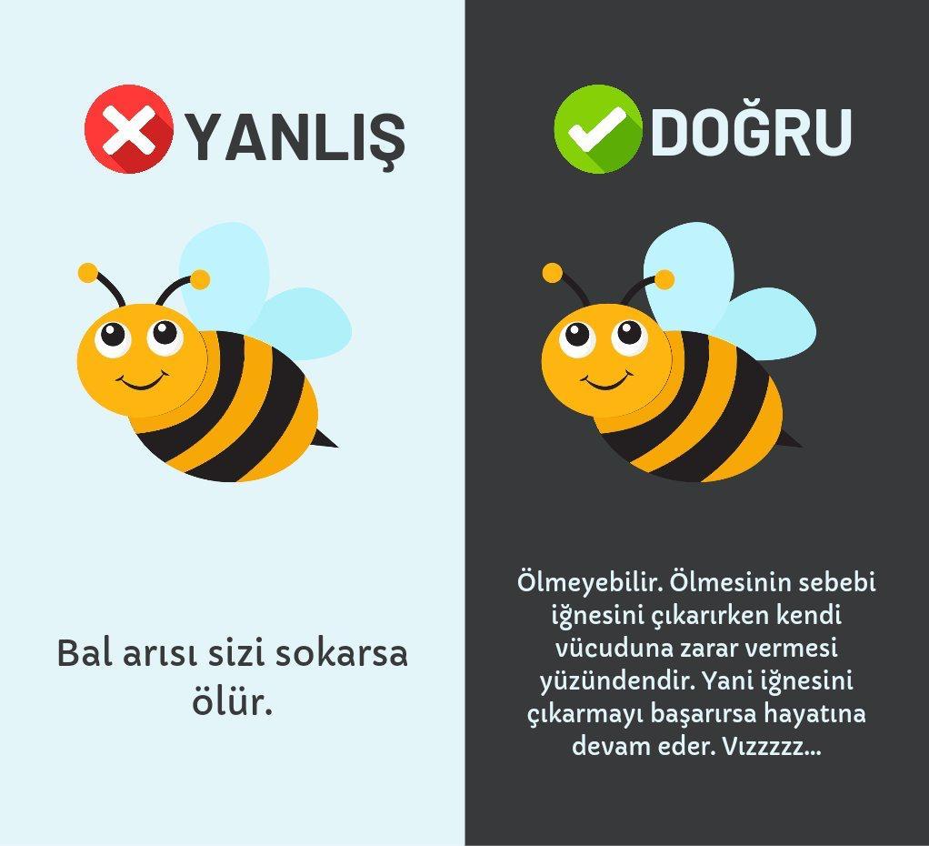 Kaynak