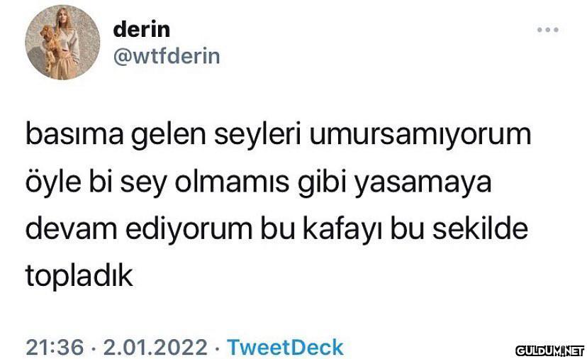 derin @wtfderin basıma...