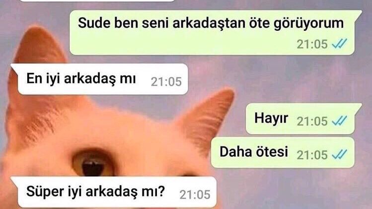Sude ben seni arkadaştan...