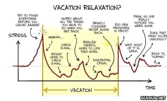 A helpful chart for those...