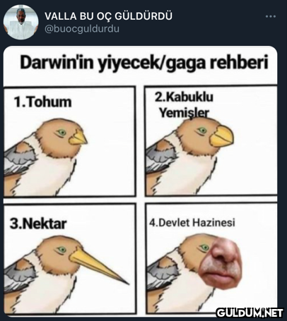 VALLA BU OÇ GÜLDÜRDÜ...