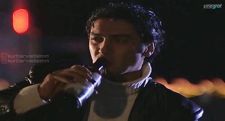 sinegraf kurtlarvadisimm...