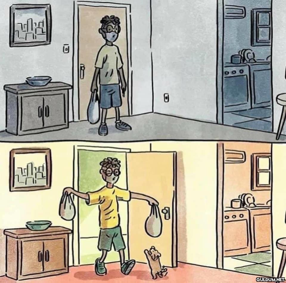 Kedi hayat verir..    Kaynak