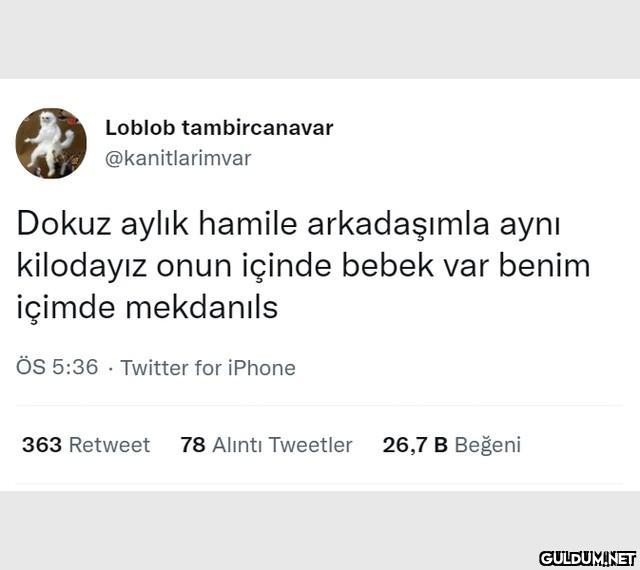 Loblob tambircanavar...