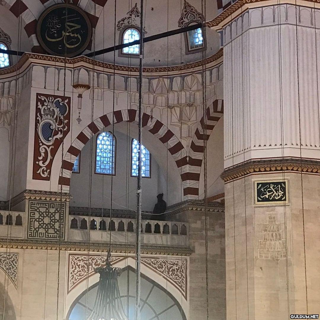 Kaan Burak Şen...