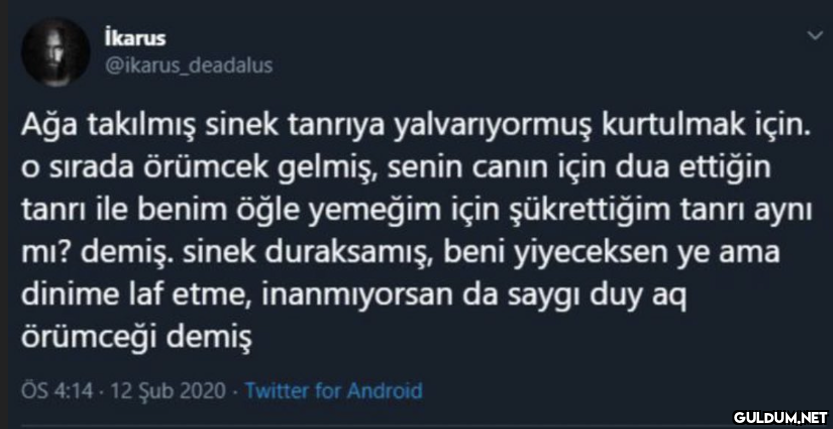 İkarus @ikarus_deadalus...