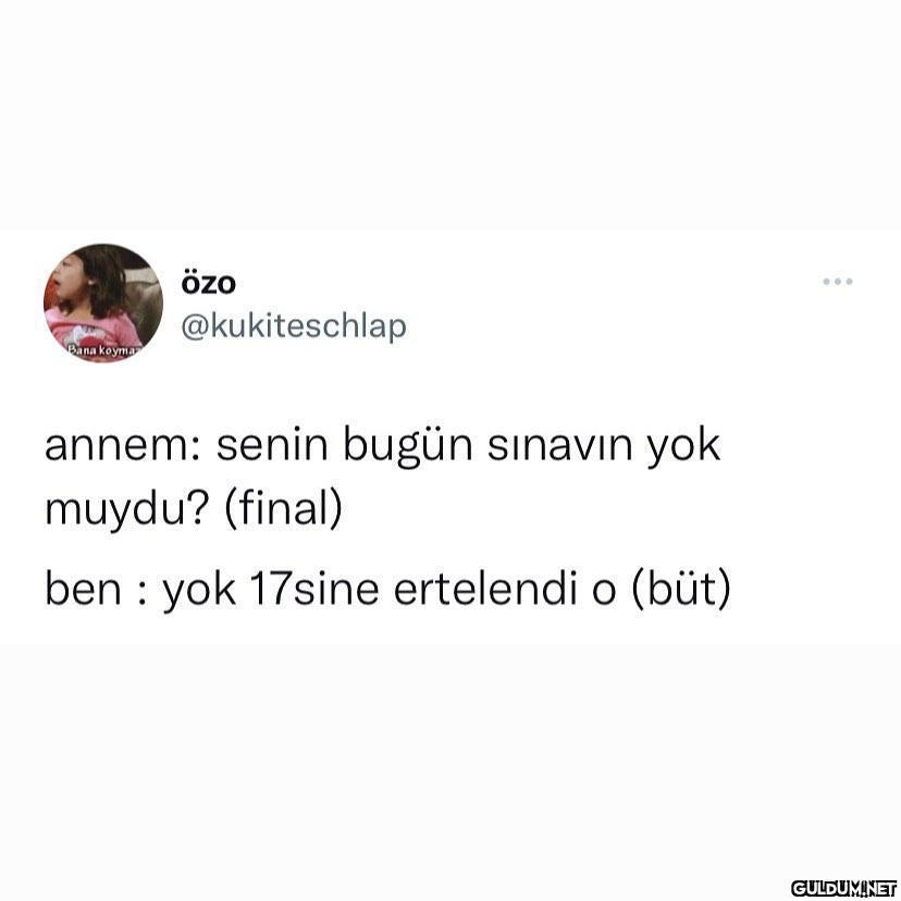 benim akademik hayat  özo...