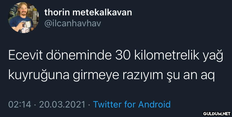 thorin metekalkavan...