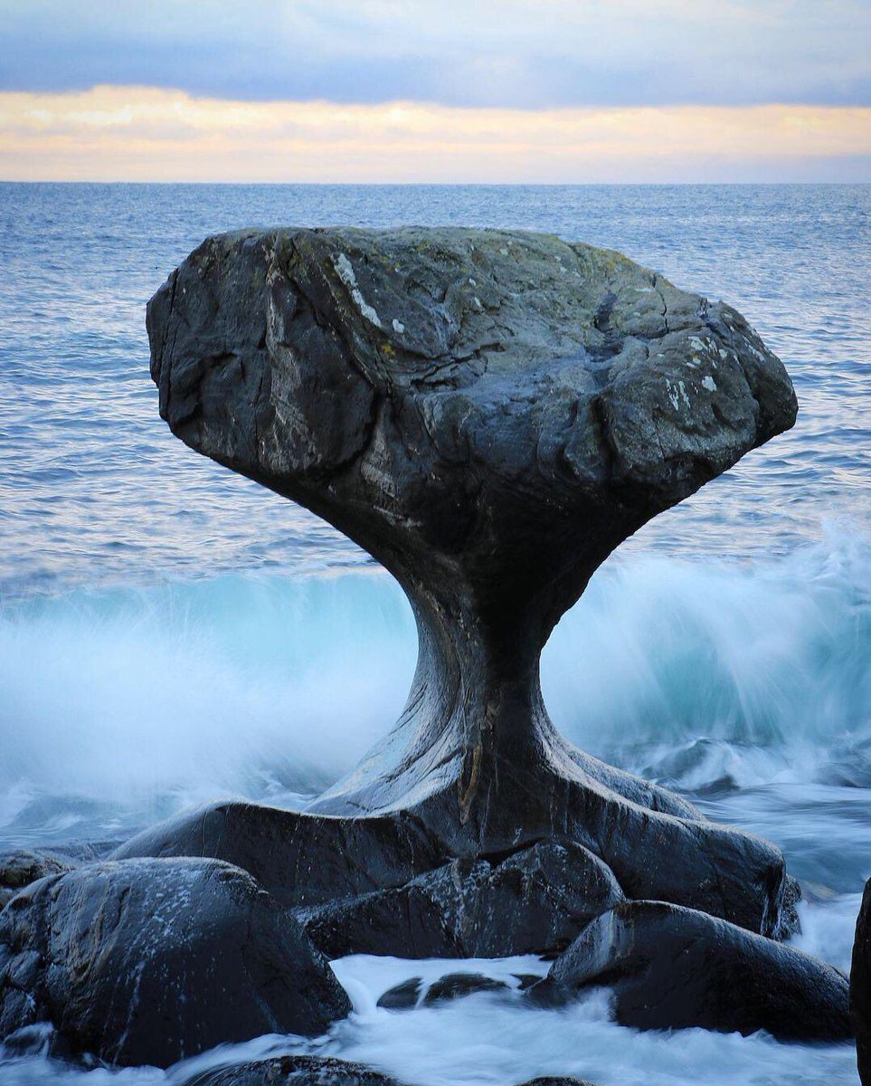 🌊 Norveç'te binlerce...