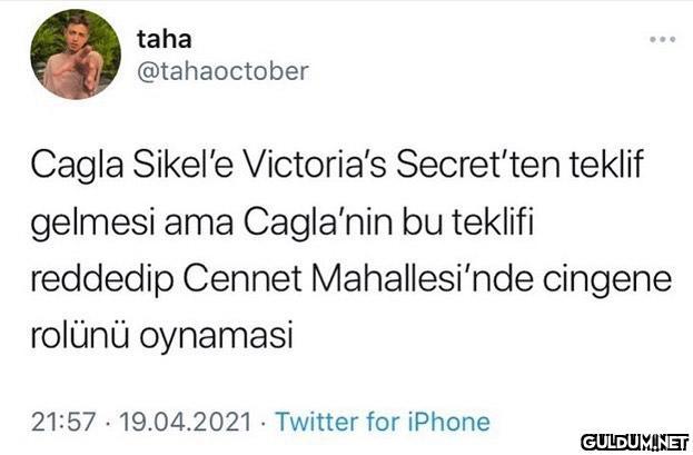 taha ... @tahaoctober...