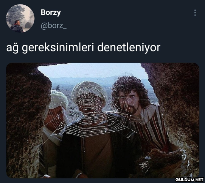 Borzy @borz_ ağ...