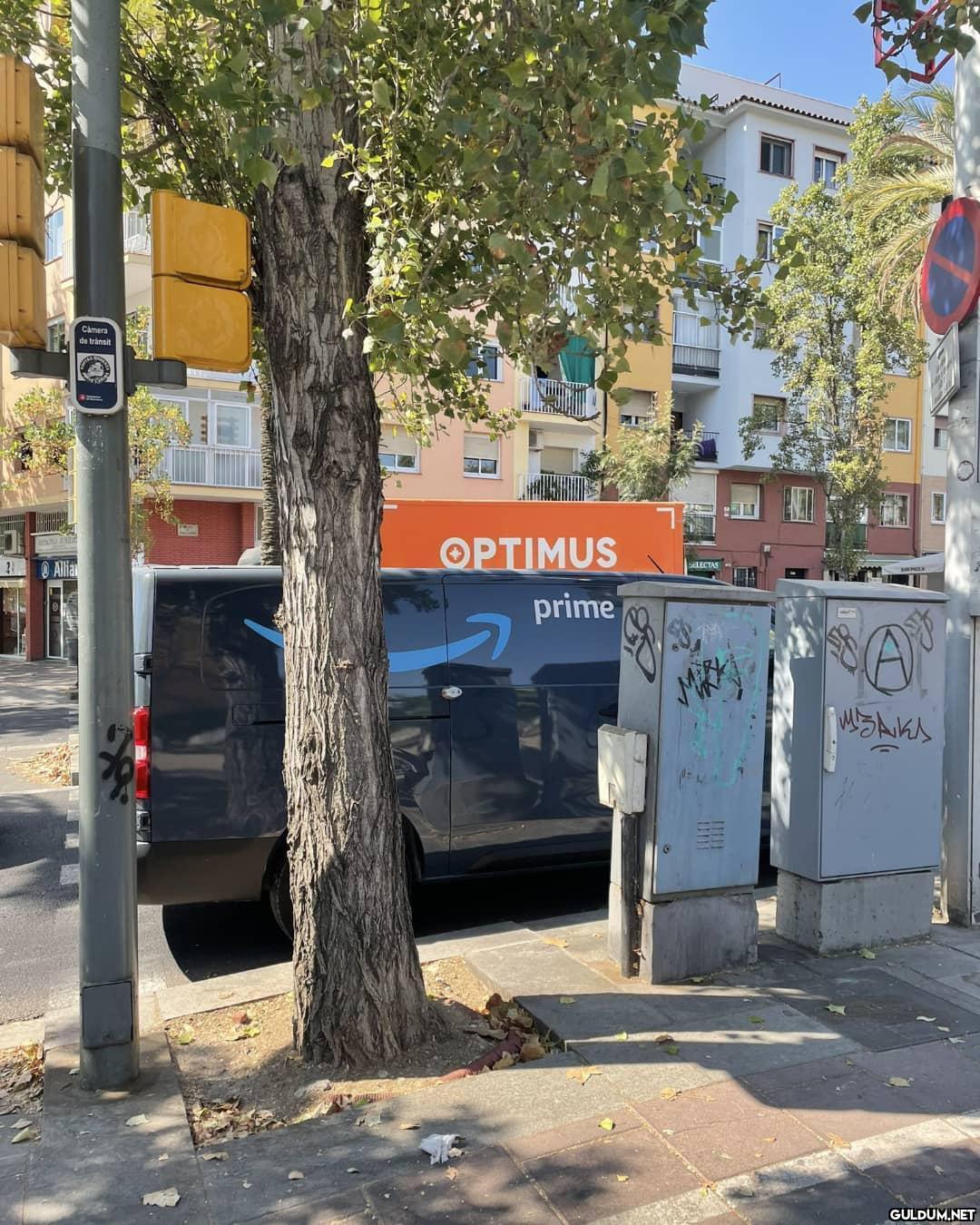 Bazı denk gelişler.....