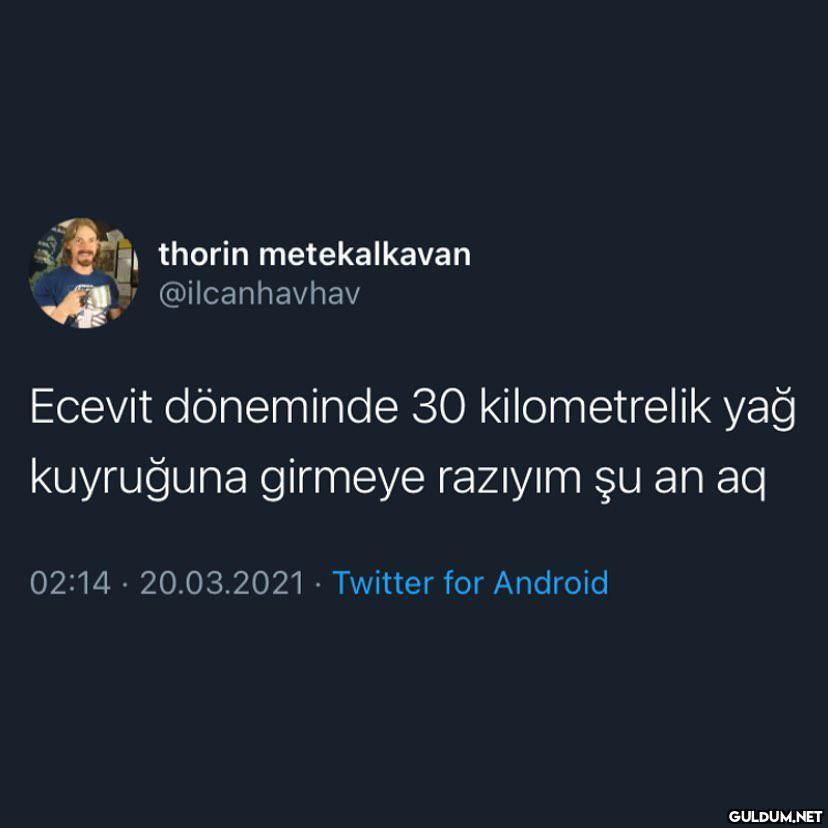 thorin metekalkavan...