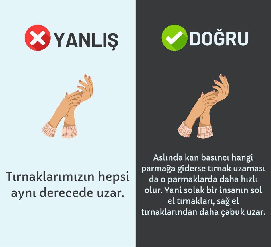 Kaynak