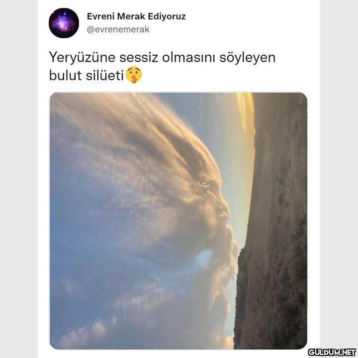 [📷 Jayme Brown]  Evreni...