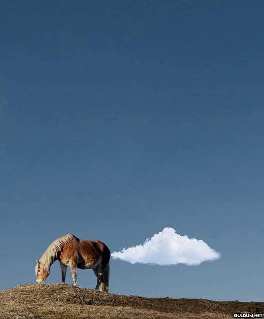 anlamsız fotoğraflar 2838  Kaynak