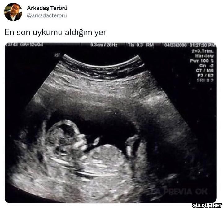 Arkadaş Terörü...
