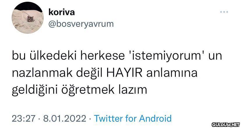 koriva ... @bosveryavrum...