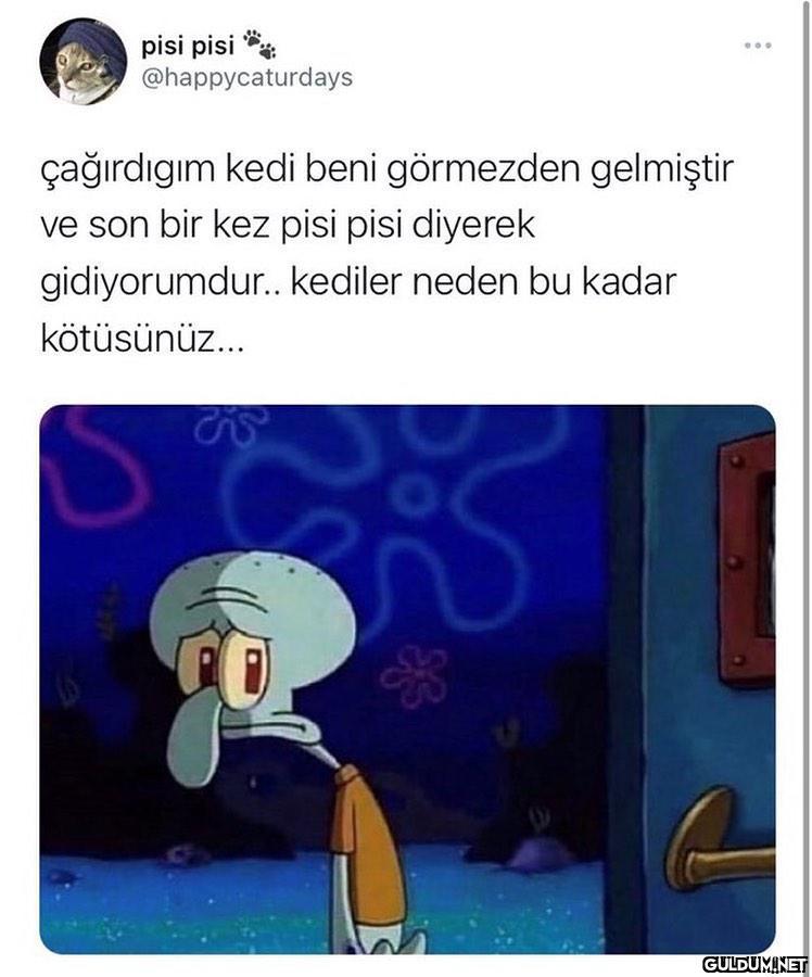 pisi pisi **...